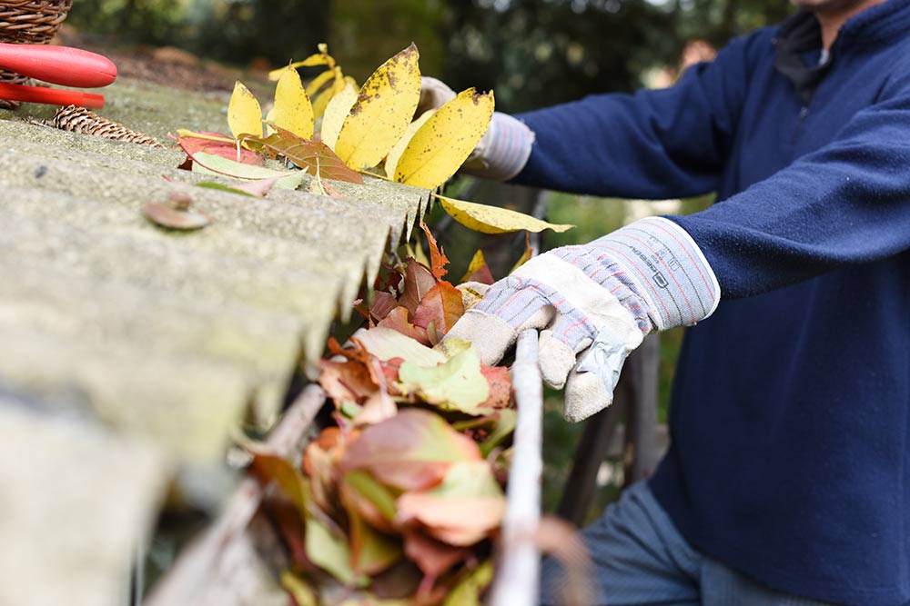 Omaha Gutter Cleaning: Comprehensive Solutions for Your Home’s Exterior Needs