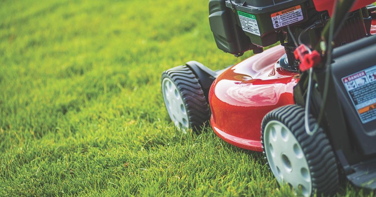 Your Premier Choice for Lawn Service in Missoula