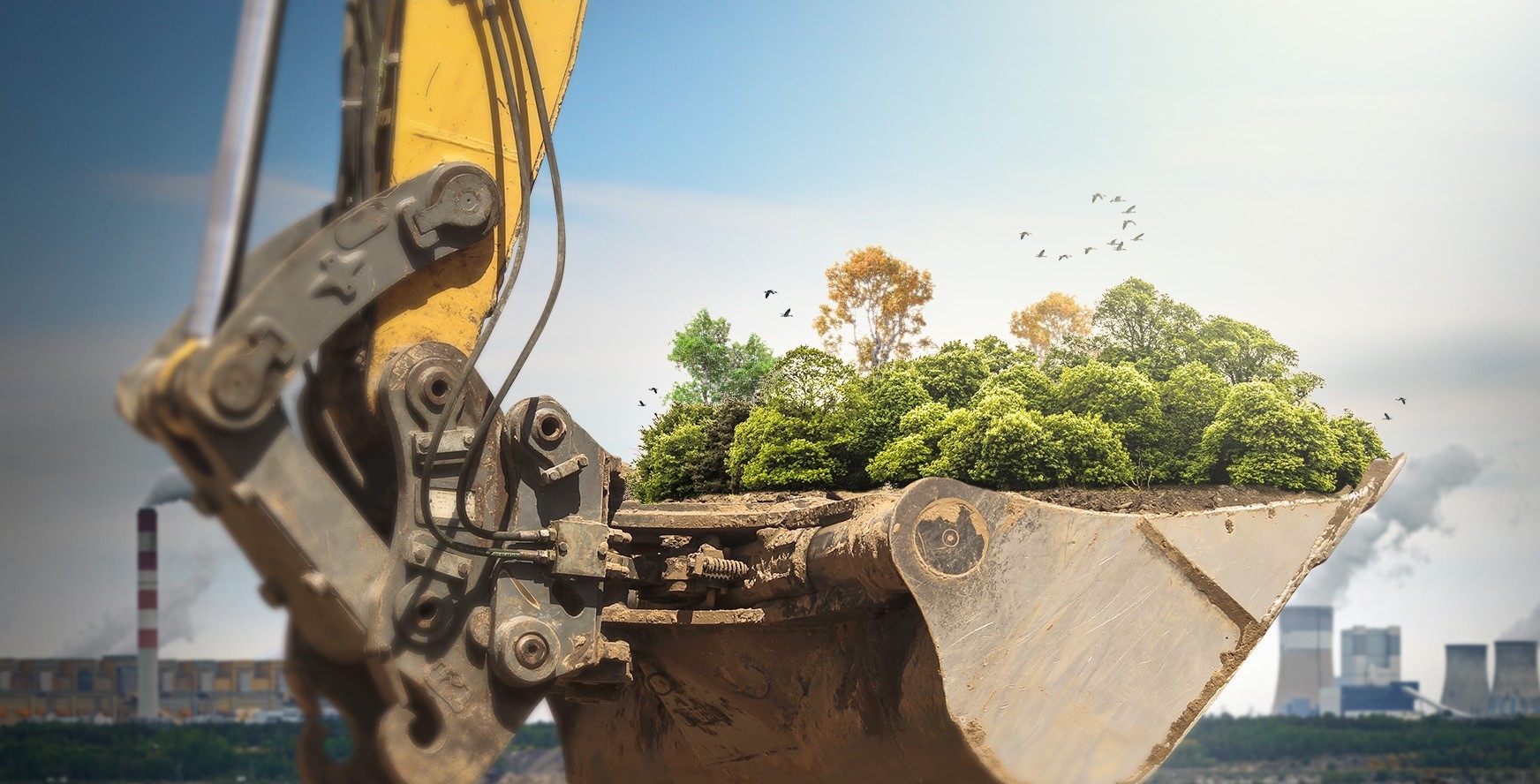 Diversified Management & Construction, Inc.: A Pioneer in Comprehensive Environmental and Construction Solutions